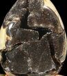 Septarian Dragon Egg Geode - Black Crystals #37124-1